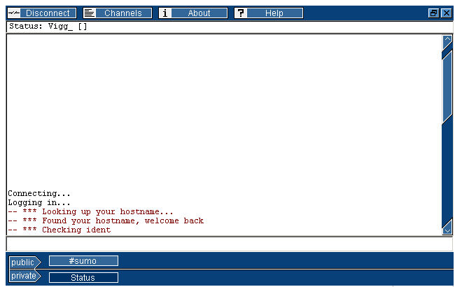 irc_connect.png