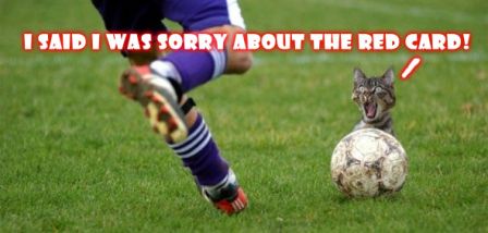 I said I was sorry....jpg